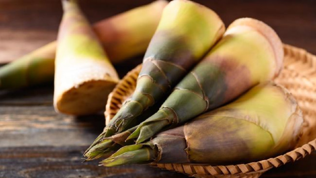 7 Manfaat Rebung Untuk Kesehatan Tubuh